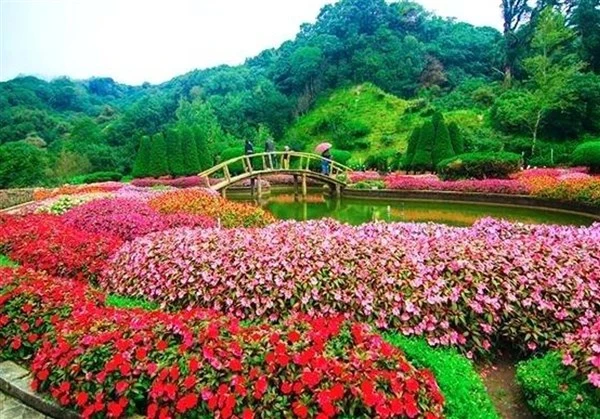 ooty rose garden cab