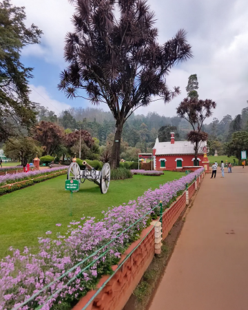 botanical garden