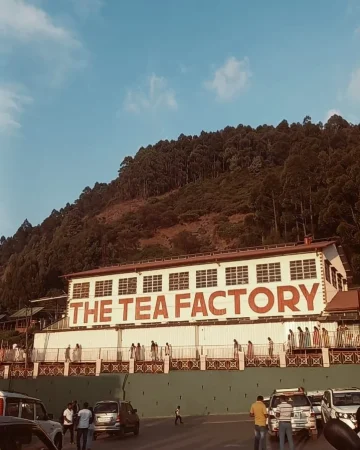 Ooty Tea Factory & Museum 