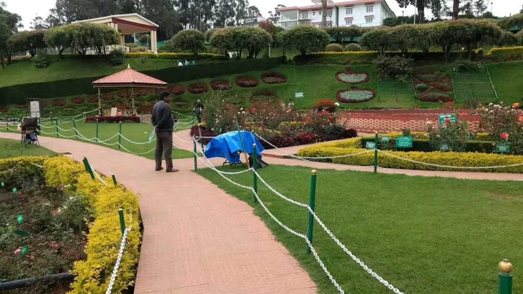 ooty rose garden cab