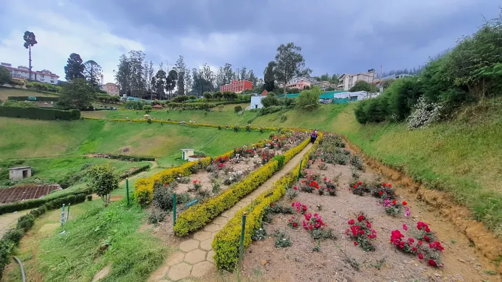 ooty rose garden cab