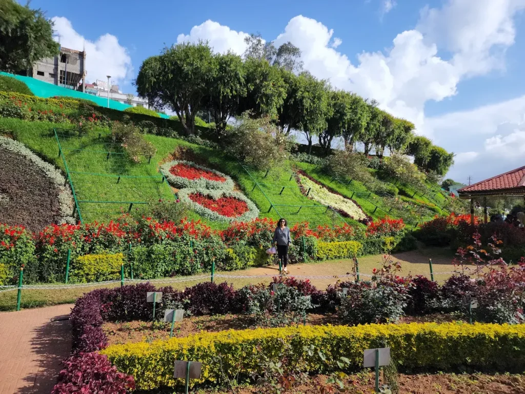 ooty rose garden cab